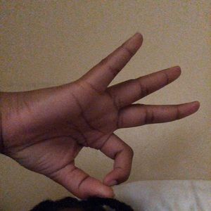 Meet your Posher, Raynen